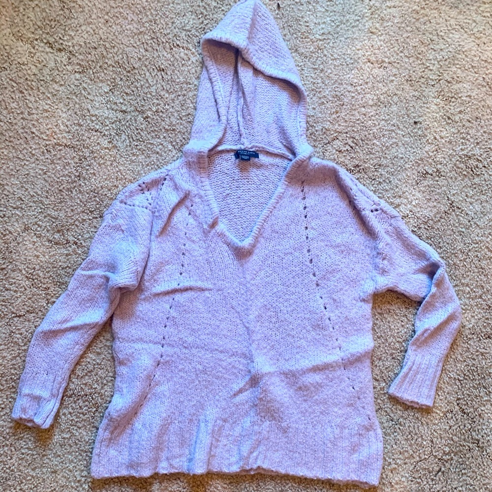 American Eagle Hooded Sweater